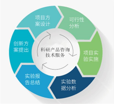人半乳糖-3-O-磺基轉(zhuǎn)移酶2 功能、基因與臨床意義探析